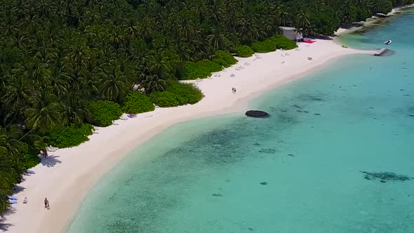 Drone aerial tourism of lagoon beach wildlife by clear ocean and sand background