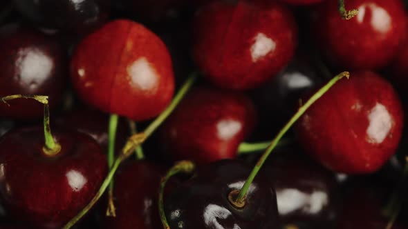 Close Up of bright red cherries in a bowl, firstly being picked up and then being dropped back in.