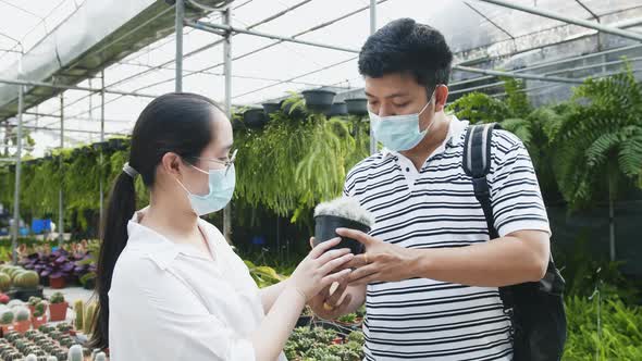 Two masked asian people hold a potted cactus and examine it in a greenhouse or hothouse nursery in b