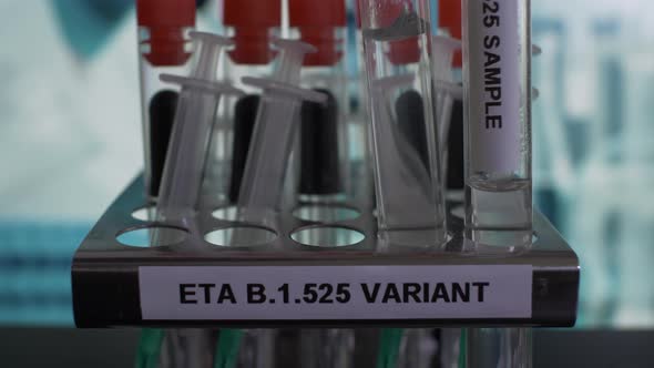 Eta B.1.525 Variant Test Tube Samples Being Placed Into Rack. Locked Off