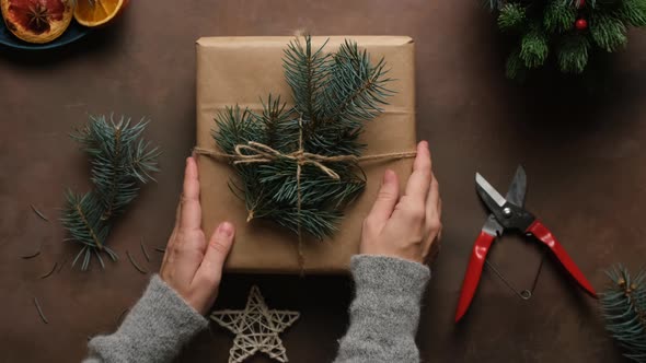 Female Hands Decorates Christmas Present