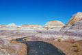 Petrified forest park - PhotoDune Item for Sale
