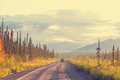 Road in Alaska - PhotoDune Item for Sale