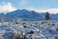 Winter in Sierra Nevada - PhotoDune Item for Sale