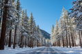 Winter road - PhotoDune Item for Sale