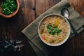 Bowl of Noodle Soup with Vegetables and Duck - PhotoDune Item for Sale