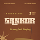 SANKOR | Groovy Retro Font - GraphicRiver Item for Sale
