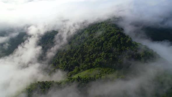 4K aerial view from a drone flying over the valley, fog in the morning