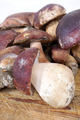 Presentation of the freshly harvested whole porcini mushroom - PhotoDune Item for Sale