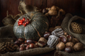 Nuts, pumpkin and other fruits - PhotoDune Item for Sale