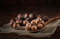 hazelnuts on a burlap napkin - PhotoDune Item for Sale