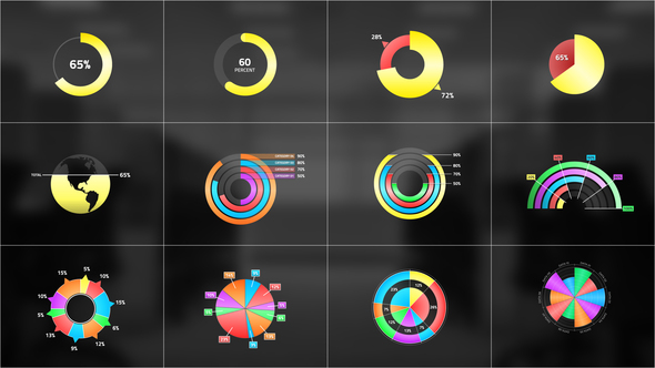 Circle Chart Infographic