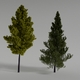 Realistic Trees Scene 3D Model With Texture - 3DOcean Item for Sale