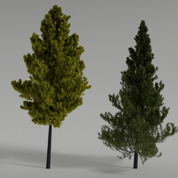 Realistic Trees Scene 3D Model With Texture