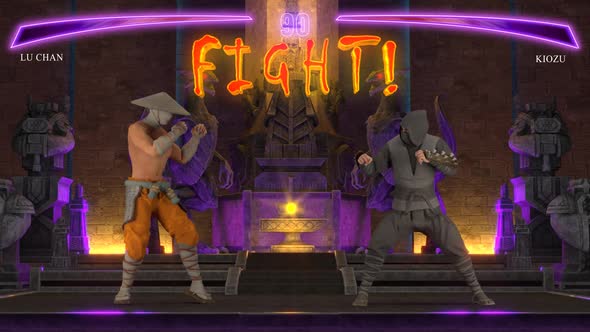 Fighting Video Game