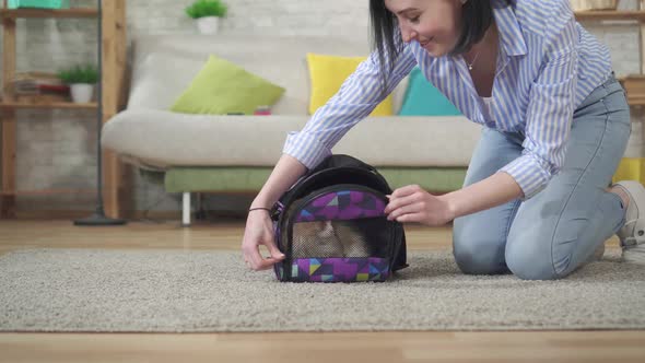 Young Woman in the Living Room Lets Cat Out of an Animal Carrier