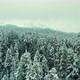 Aerial winter landscape with pine trees of the snow-covered forest in cold mountains at sunrise - VideoHive Item for Sale