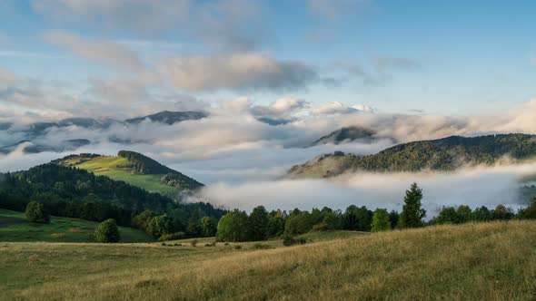 Cloudy Mountains Forest