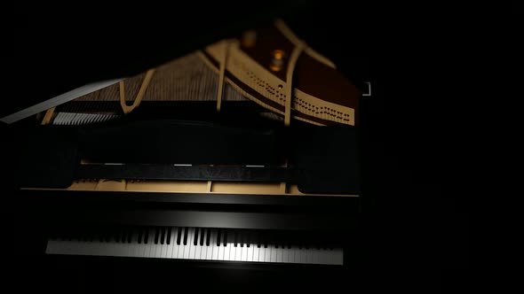 Piano Detail