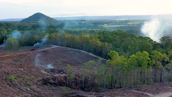 Aerial view of a deforestation in Queensland, Australia.