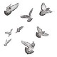 Birds Flock Fly Away - AudioJungle Item for Sale