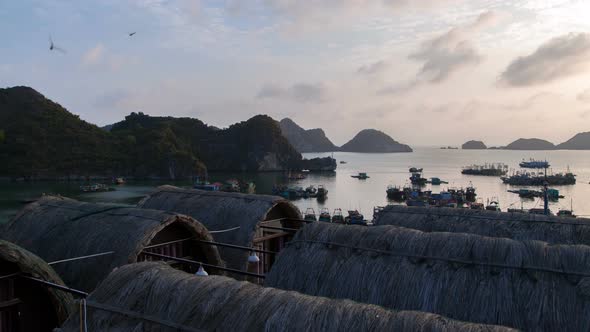 Landscape of Cat Ba Island with Bungalow, Ha Long Bay, Vietnam Timelapse