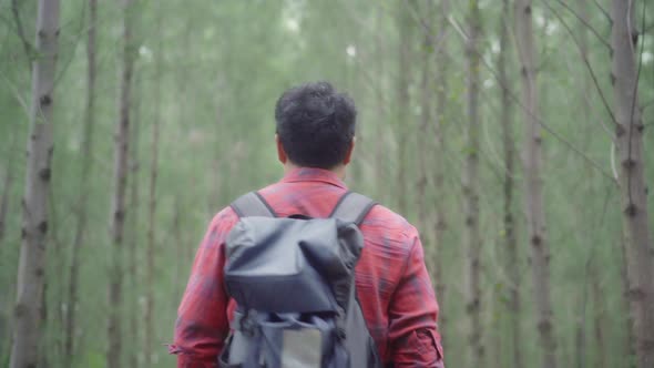 Asian backpacker man on hiking adventure freedom walking in forest, holidays near lots of tree.