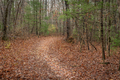 Beautiful trail in the Tennessee mountains - PhotoDune Item for Sale