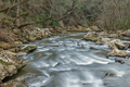 Flowing river in Cumberland Mountain - PhotoDune Item for Sale