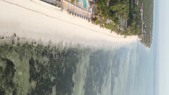 Zanzibar Tanzania  Vertical Video of the Ocean Near the Coast Slow Motion