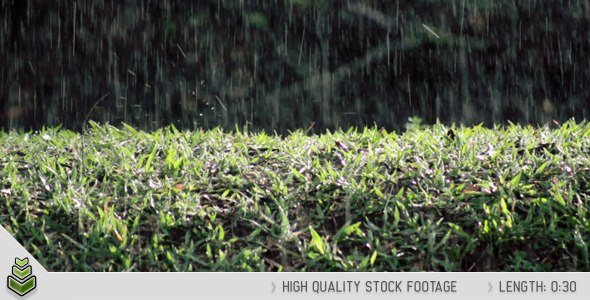 Raining on Grass