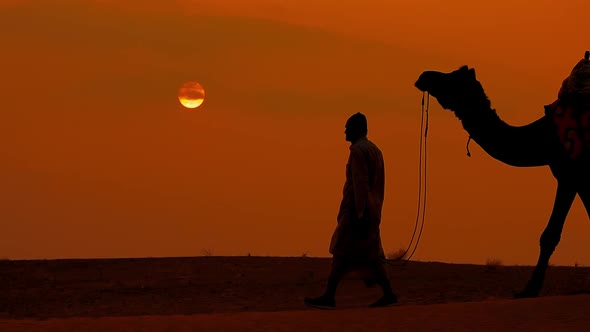 Cameleers, Camel Drivers at Sunset