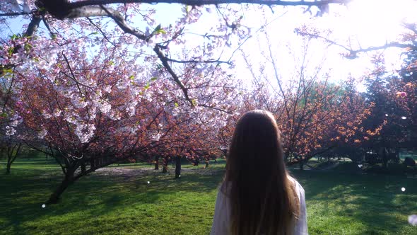 Girl walking in Japanese Garden with blooming trees. Young woman with long hair enjoys spring