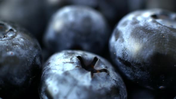 Close-up shot of blueberry berry motion. Slider blueberry