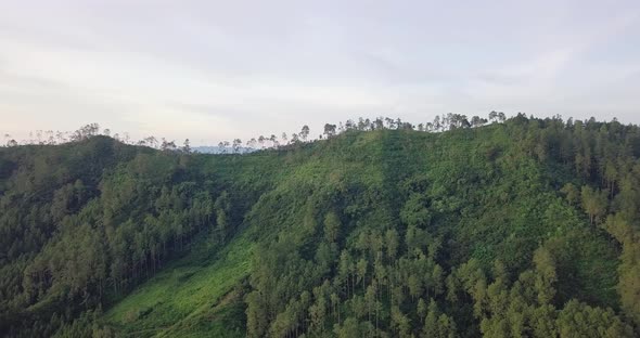 Aerial view of green growing hill with forest and tree silhouette on mountain top in Indonesia