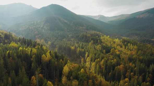 Mountains Forest Autumn Valley Tree Sun Colorful Park