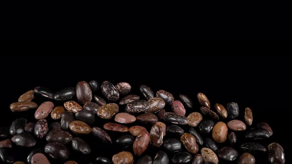Flying Legumes on a Black Background