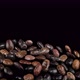 Flying Legumes on a Black Background - VideoHive Item for Sale