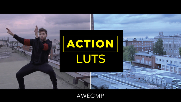 LUTs Action