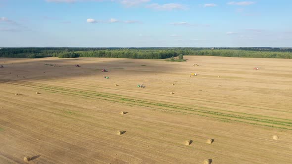 Combine Harvest Crop On Agricultural Field Tractors Collect Hay In Stacks Aerial