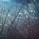 Dreamy Winter Night Particle Looping Background - VideoHive Item for Sale
