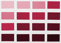 Color samples palette catalog. New 2023 trending PANTONE 18-1750 Viva Magenta colour - PhotoDune Item for Sale