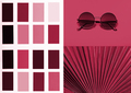 Collage with New 2023 trending PANTONE 18-1750 Viva Magenta colour - PhotoDune Item for Sale
