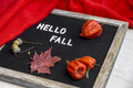 Felt board with message Hello fall surrounded by warm sweater and maple leaf, acorns, physalis - PhotoDune Item for Sale