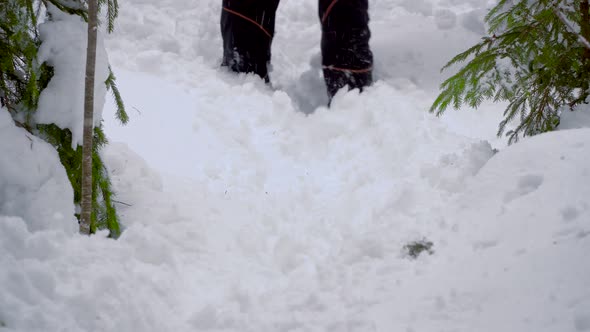 Male Feet Walking Through the Snow in Winter Forest