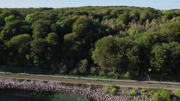 Drone Over Train Track Towards Lush Urban Forest