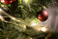 Christmas tree bomb - PhotoDune Item for Sale