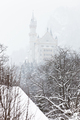 Neuschwanstein Castle - PhotoDune Item for Sale