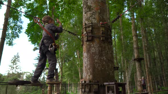 Little Boy in a Safety Harness Climbs on a Route in a Forest Adventure Park. He Climbs on High Rope