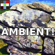 Breathing Rock Ambience